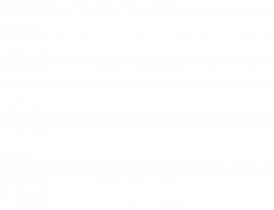 Perruche à collier